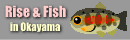 rise＆fish